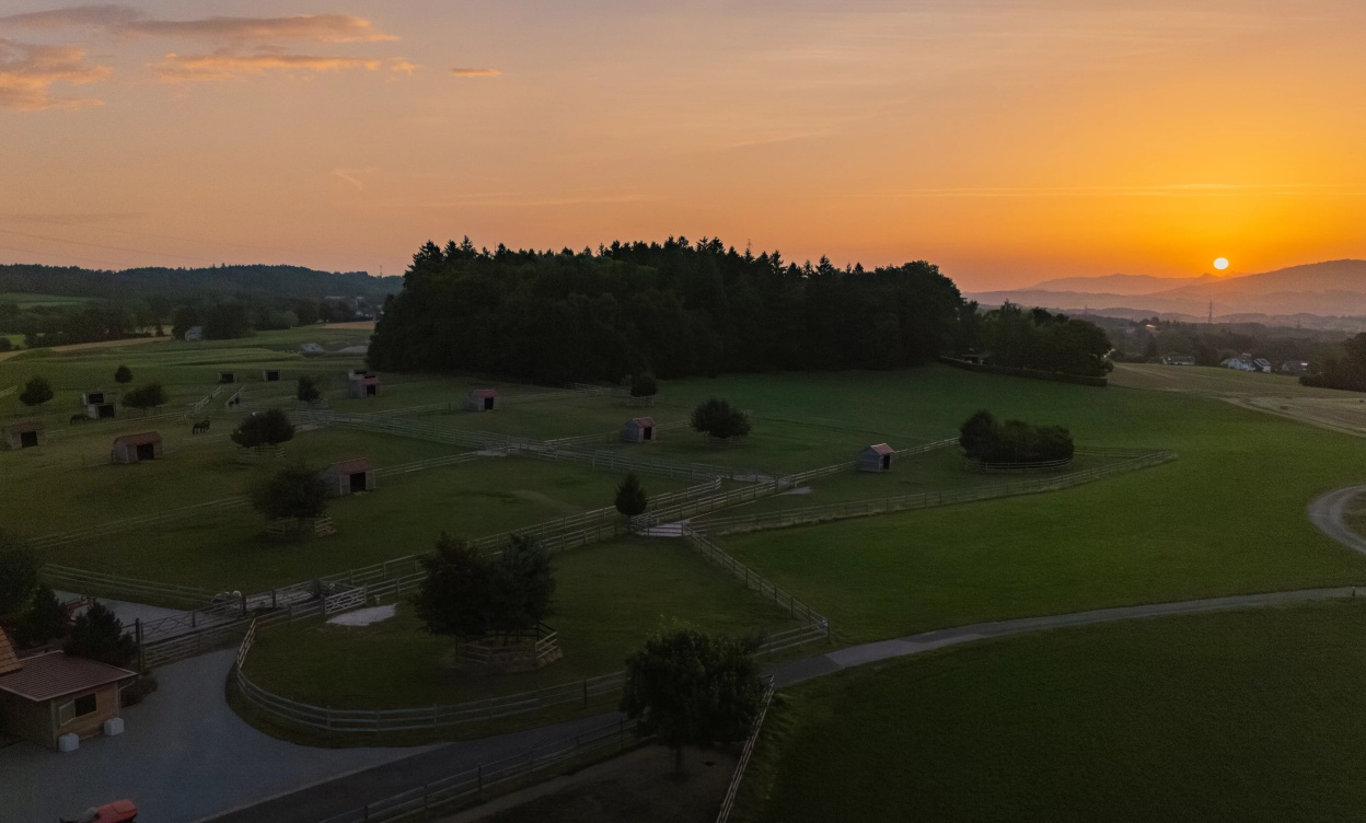 Domaine équestre d’exception à Savigny, à seulement 15 minutes de Lausanne image