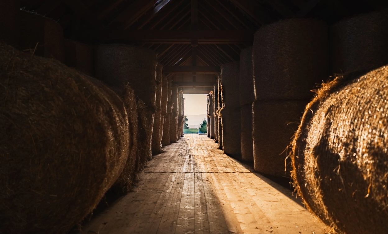 Domaine équestre d’exception à Savigny, à seulement 15 minutes de Lausanne image