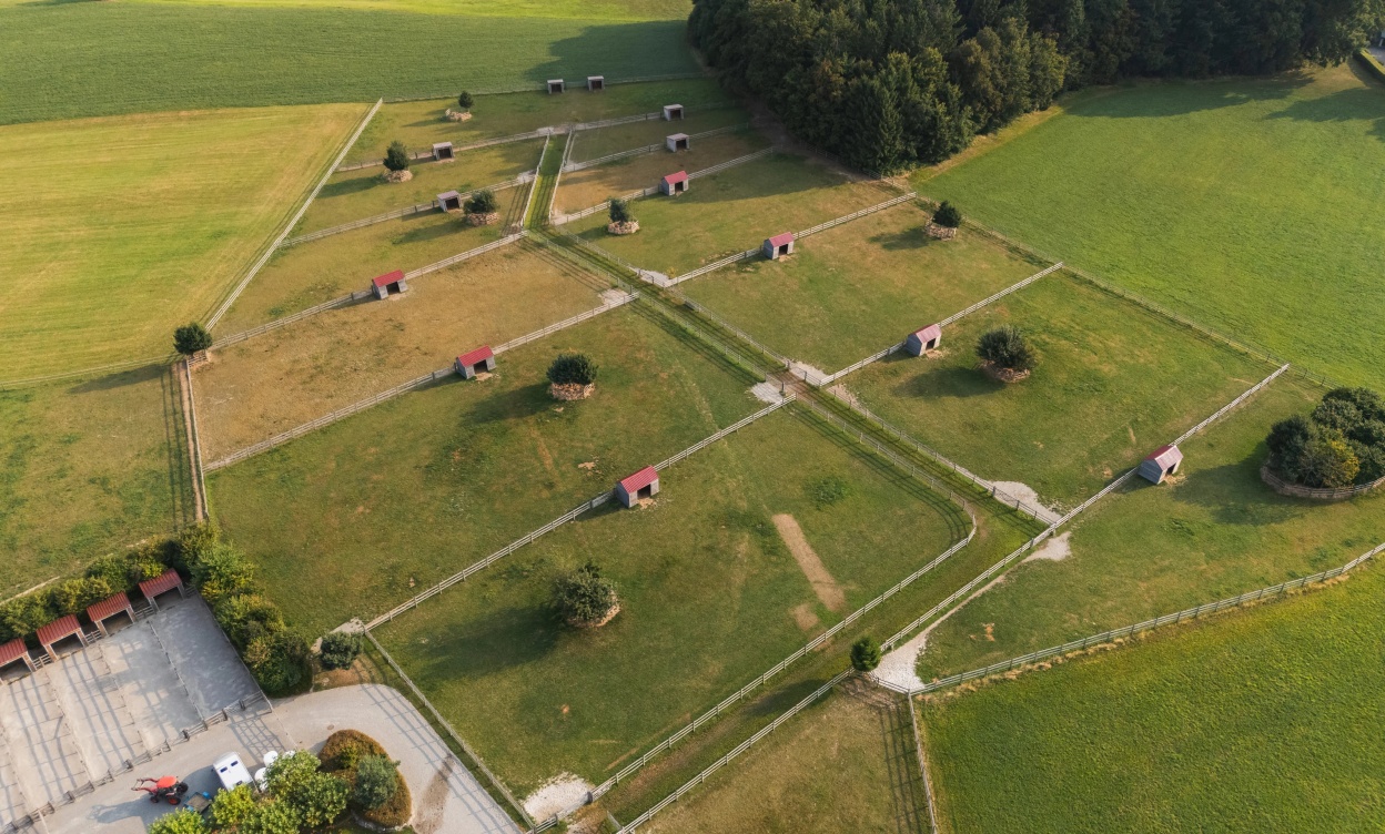 Domaine équestre d’exception à Savigny, à seulement 15 minutes de Lausanne image