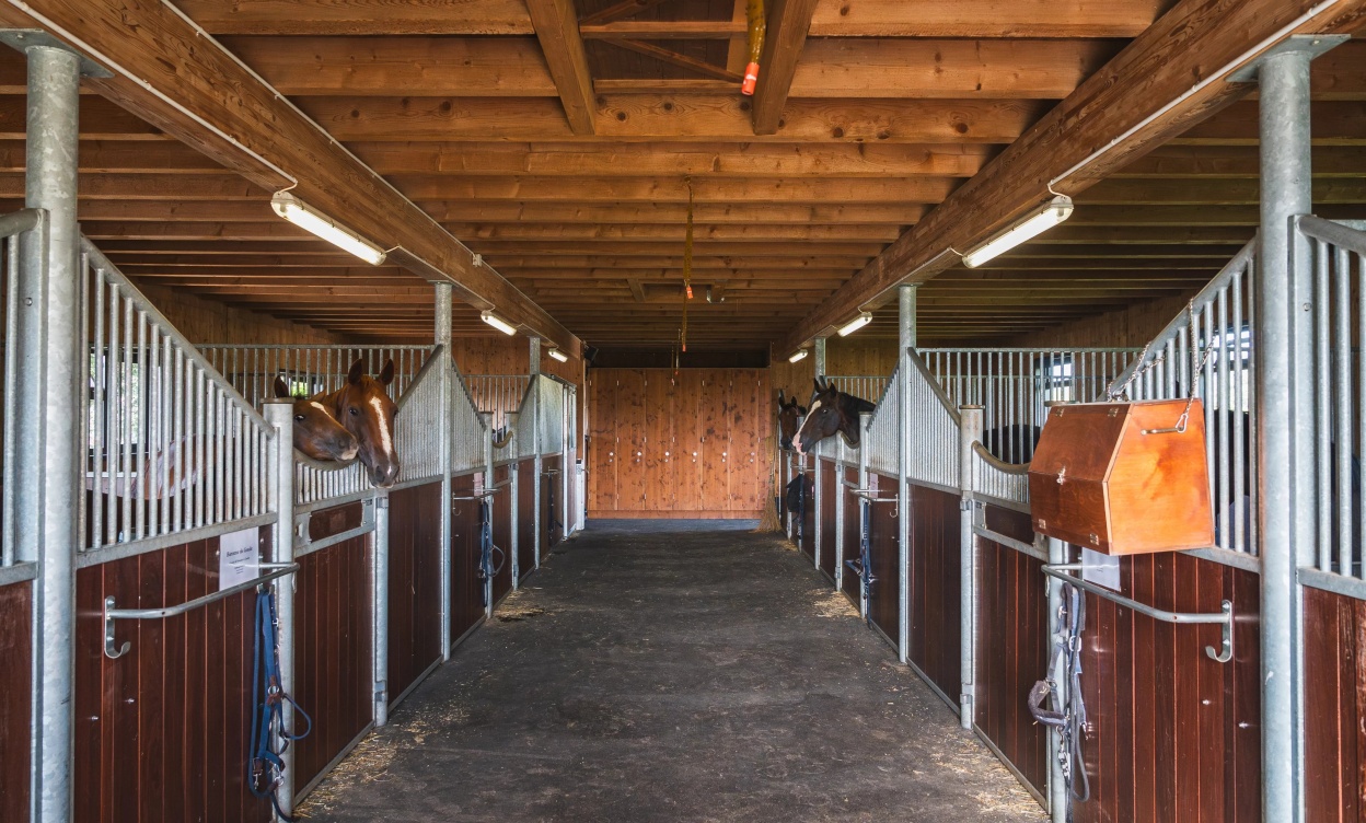 Domaine équestre d’exception à Savigny, à seulement 15 minutes de Lausanne image