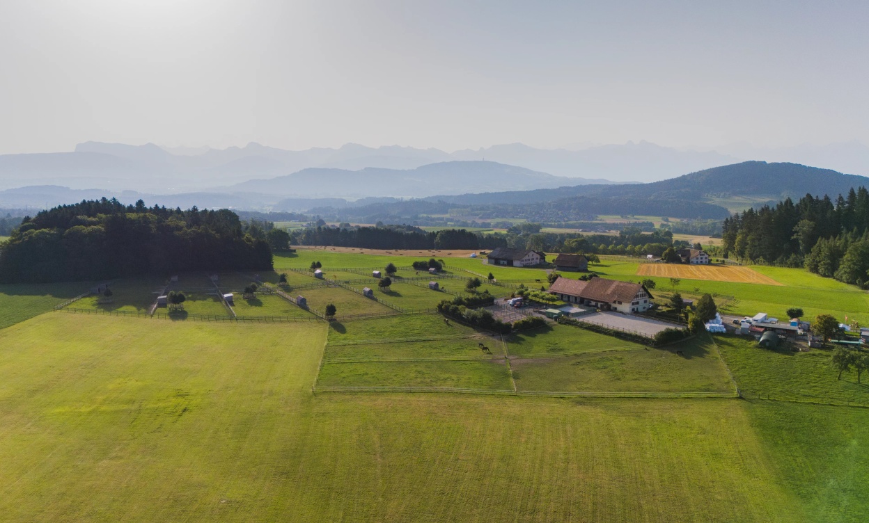 Domaine équestre d’exception à Savigny, à seulement 15 minutes de Lausanne image