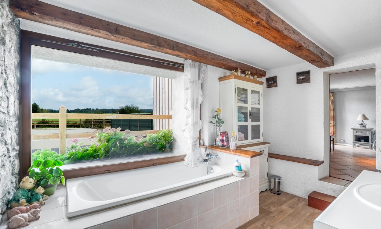 Domaine équestre d’exception à Savigny, à seulement 15 minutes de Lausanne image