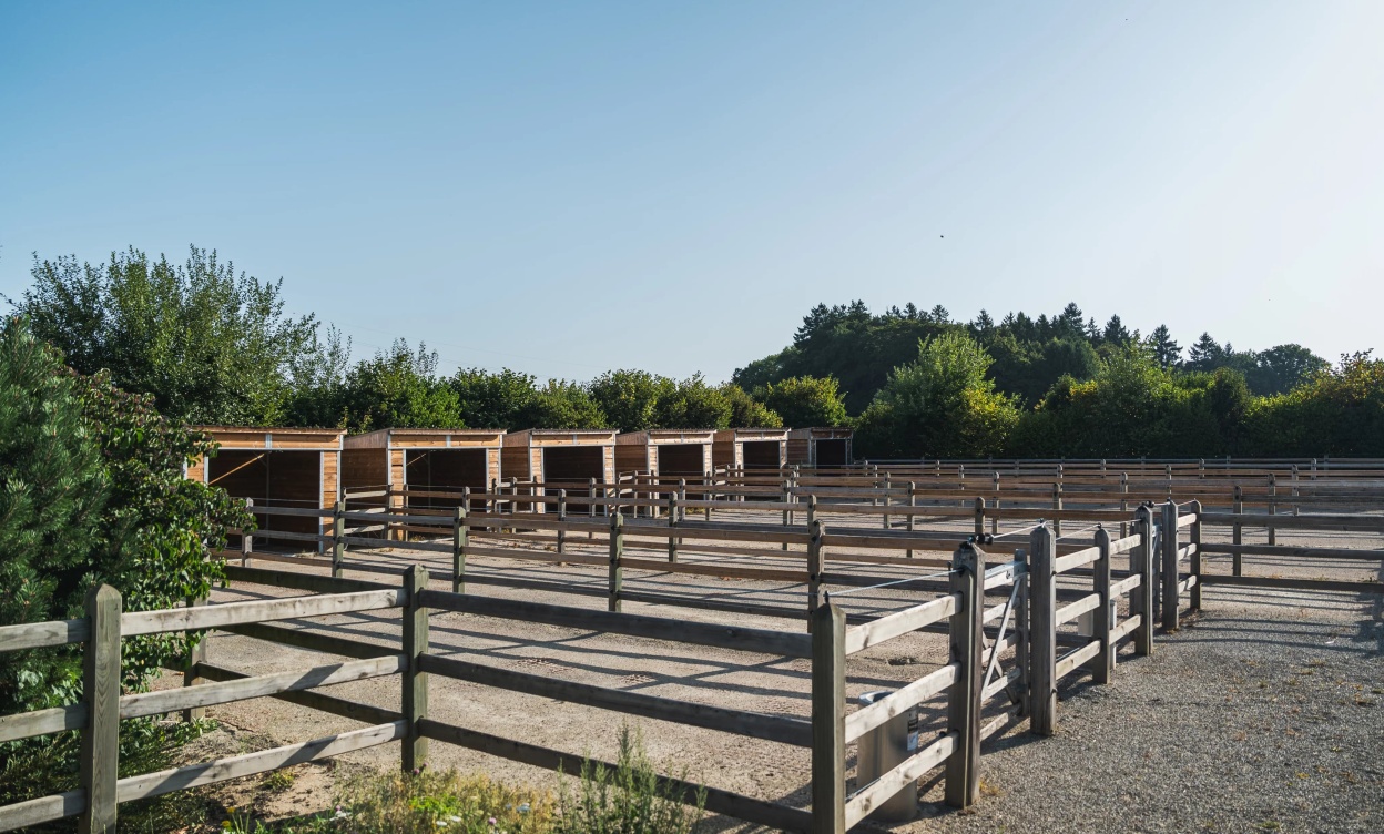 Domaine équestre d’exception à Savigny, à seulement 15 minutes de Lausanne image