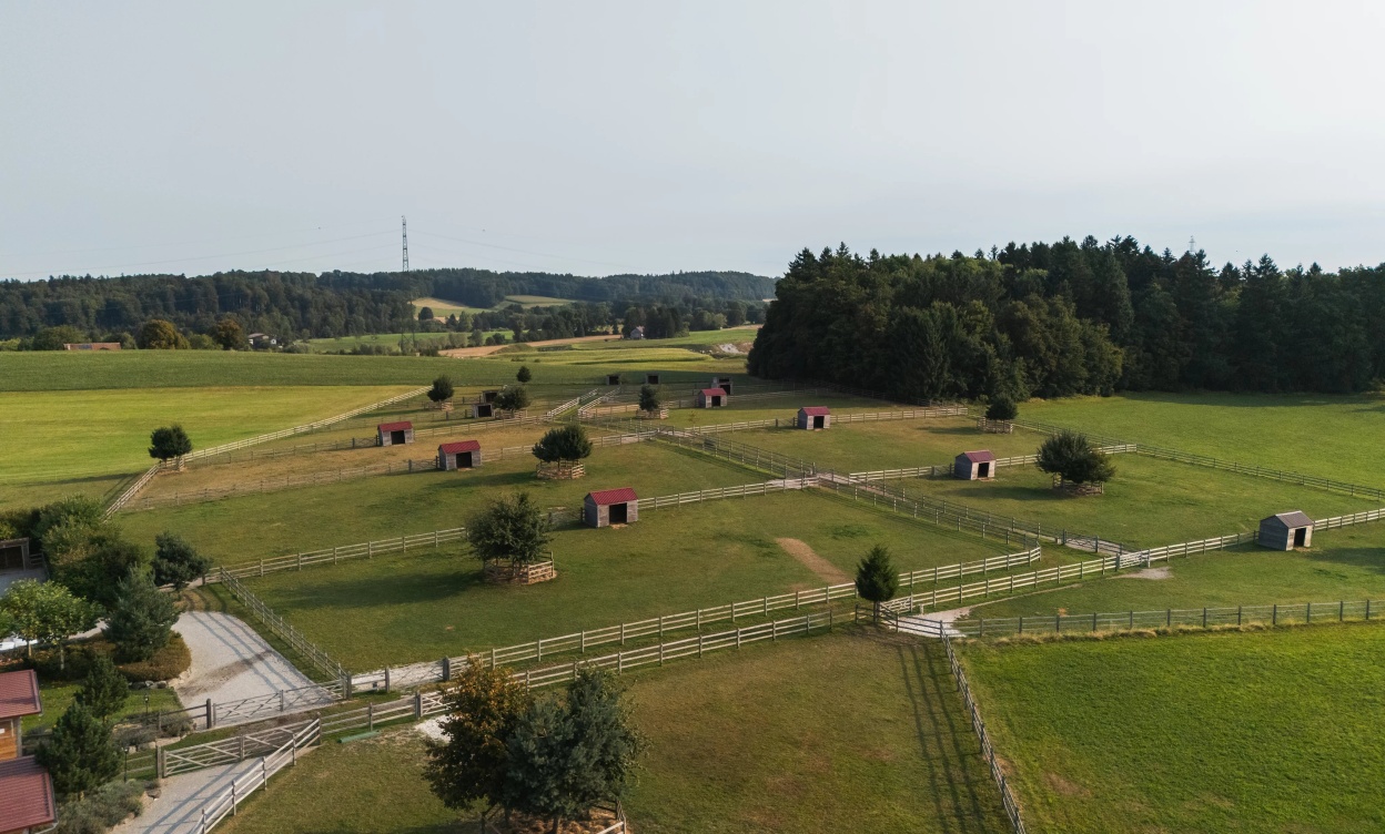 Domaine équestre d’exception à Savigny, à seulement 15 minutes de Lausanne image