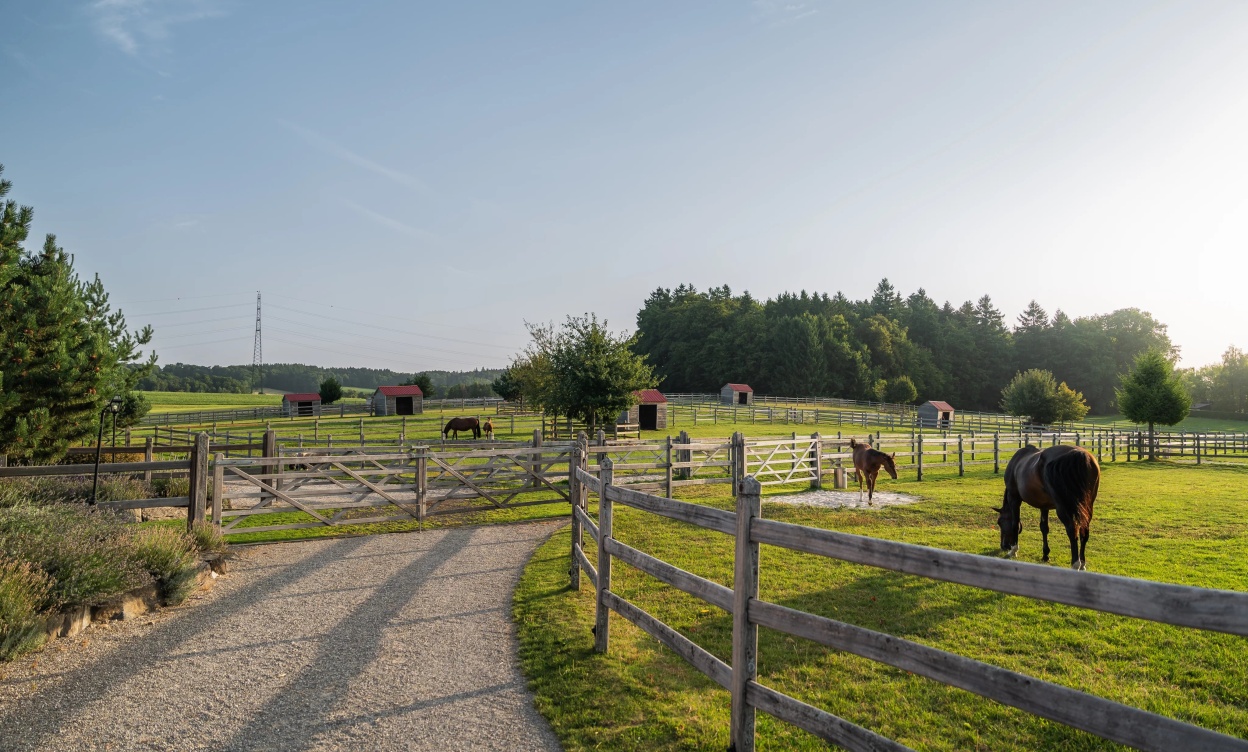 Domaine équestre d’exception à Savigny, à seulement 15 minutes de Lausanne image