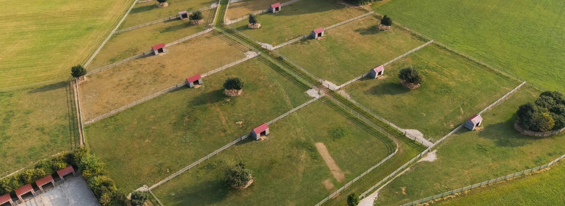 Domaine équestre d’exception à Savigny, à seulement 15 minutes de Lausanne image