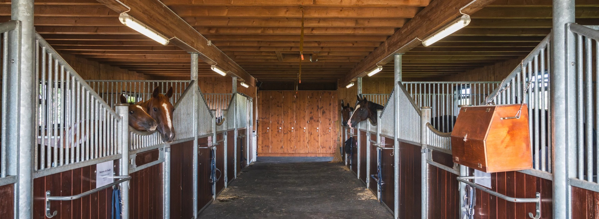 Domaine équestre d’exception à Savigny, à seulement 15 minutes de Lausanne image