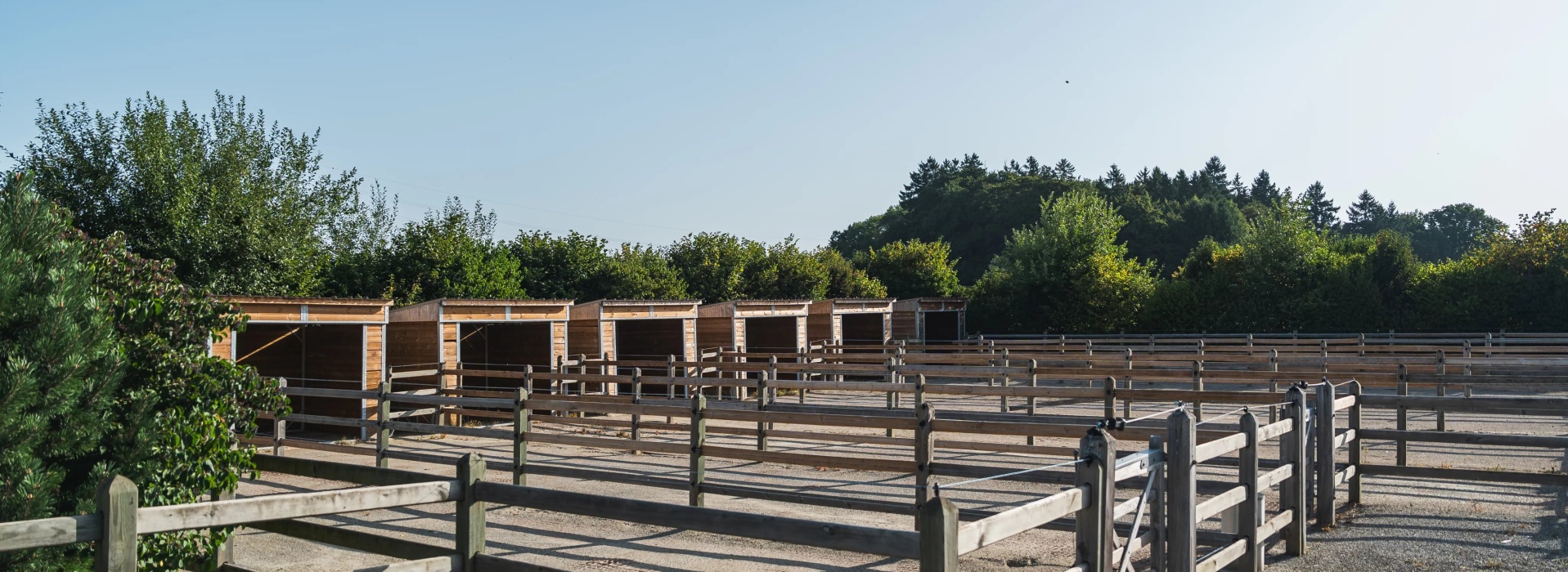 Domaine équestre d’exception à Savigny, à seulement 15 minutes de Lausanne image