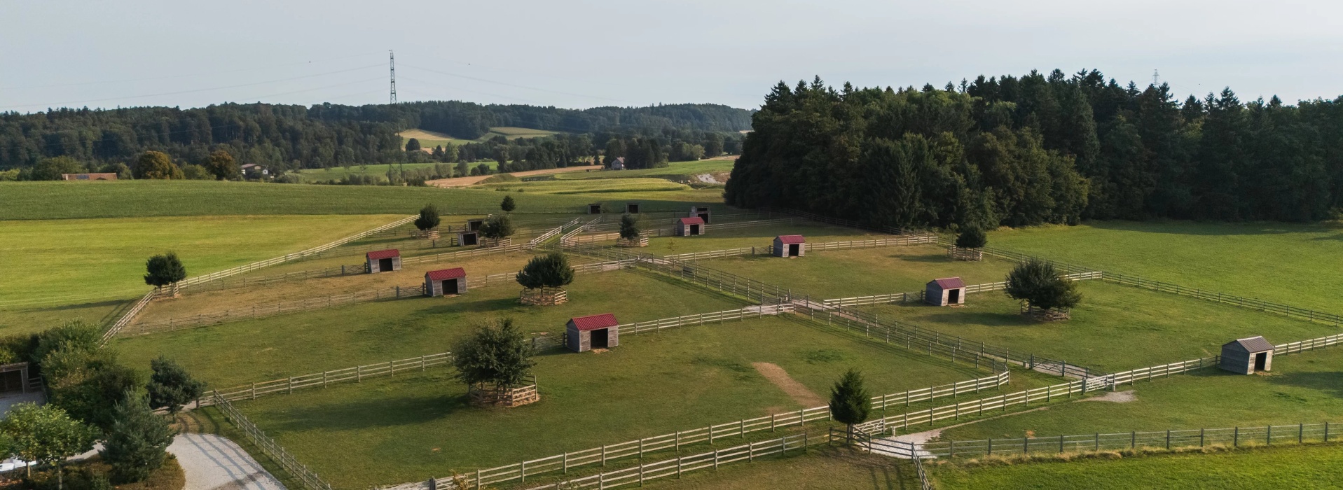 Domaine équestre d’exception à Savigny, à seulement 15 minutes de Lausanne image