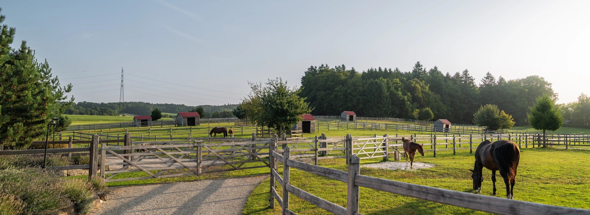 Domaine équestre d’exception à Savigny, à seulement 15 minutes de Lausanne image