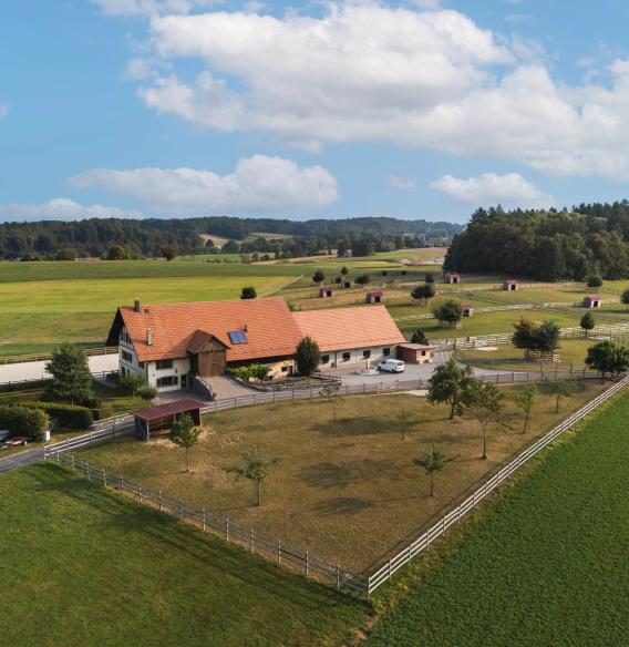 Domaine équestre d’exception à Savigny, à seulement 15 minutes de Lausanne